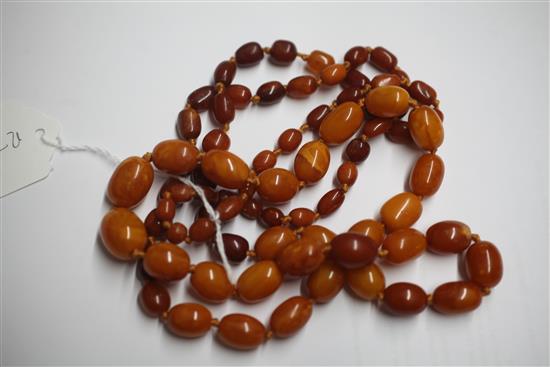 A single strand graduated amber bead necklace, 132cm.